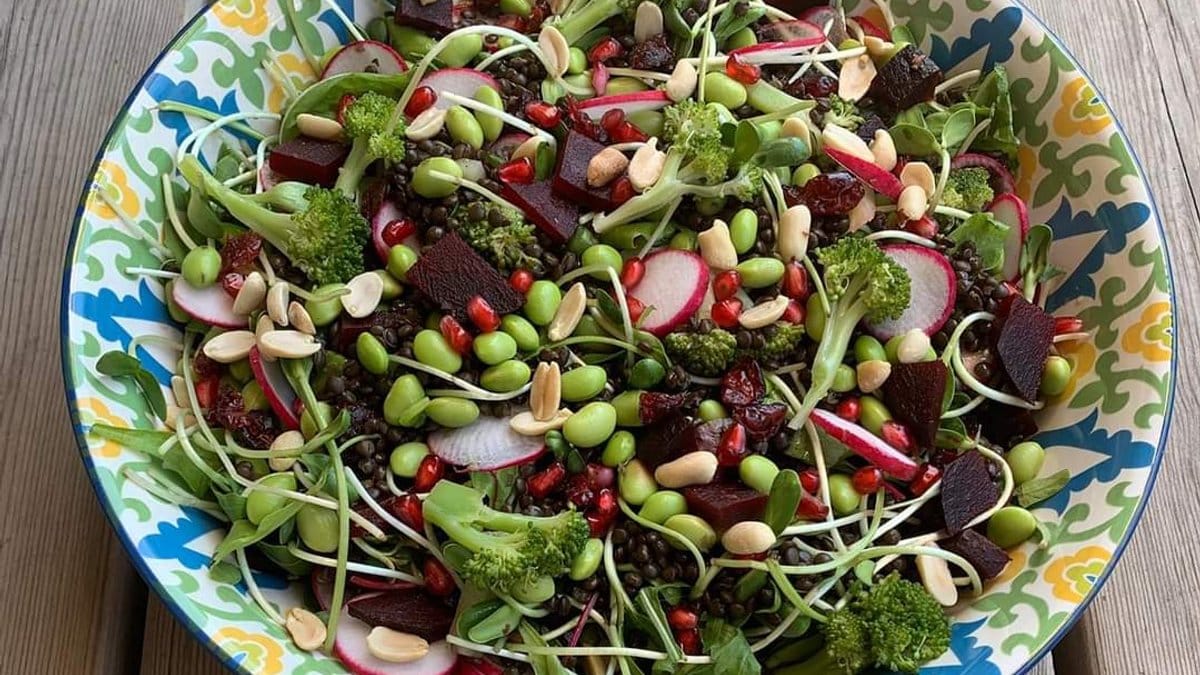 תמונה של סלט חגיגי ומשגע לשולחן החג: שילוב מרכיבים נדיר שכולם יבקשו את המתכון שלו - 2026-10-02